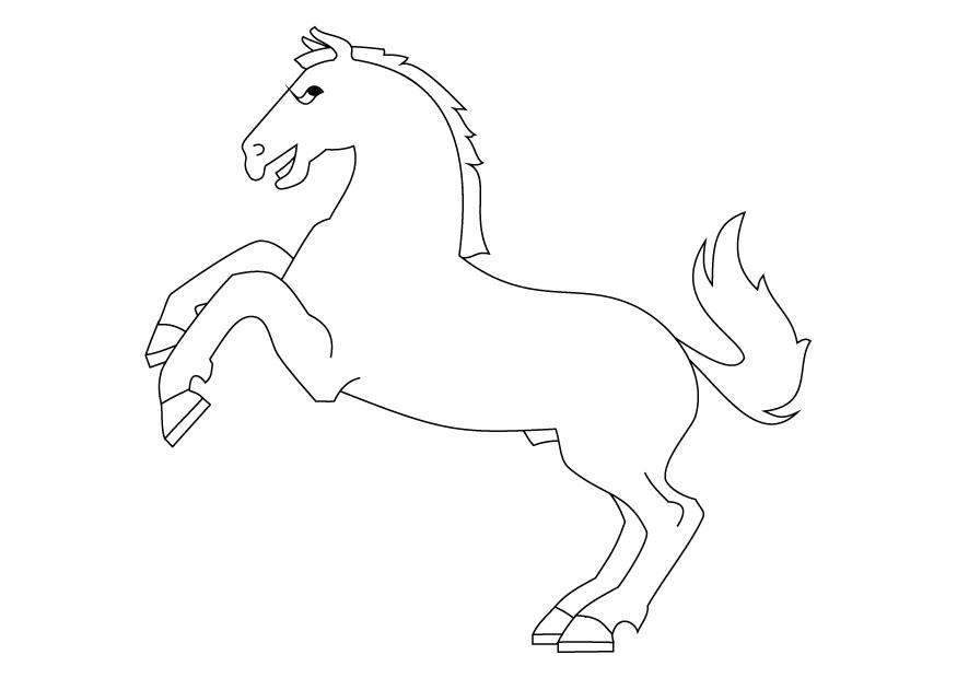 stegrande hA¤st Målarbild stegrande hA¤st