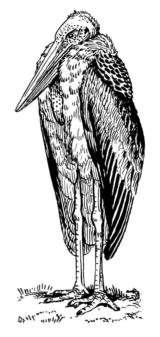 Målarbild stork