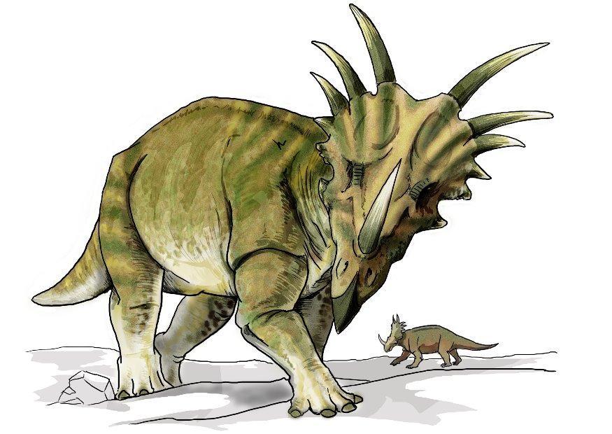 styracosaurus dinosaurie bild styracosaurus dinosaurie