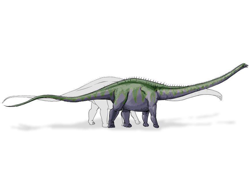 supersaurus bild supersaurus