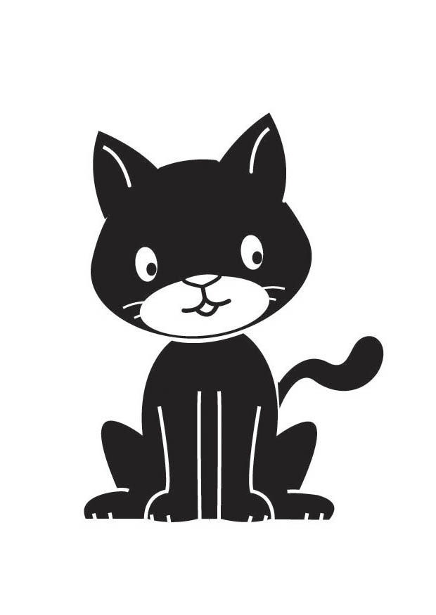 svart katt bild svart katt