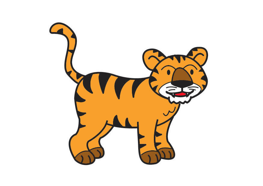 tiger bild tiger