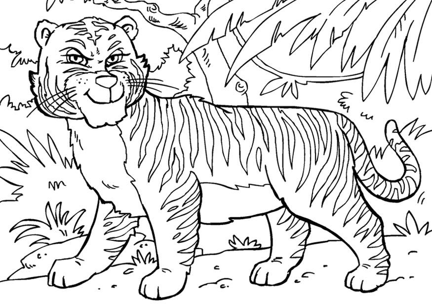 tiger,