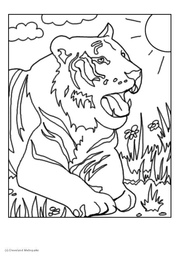 tiger Målarbild tiger