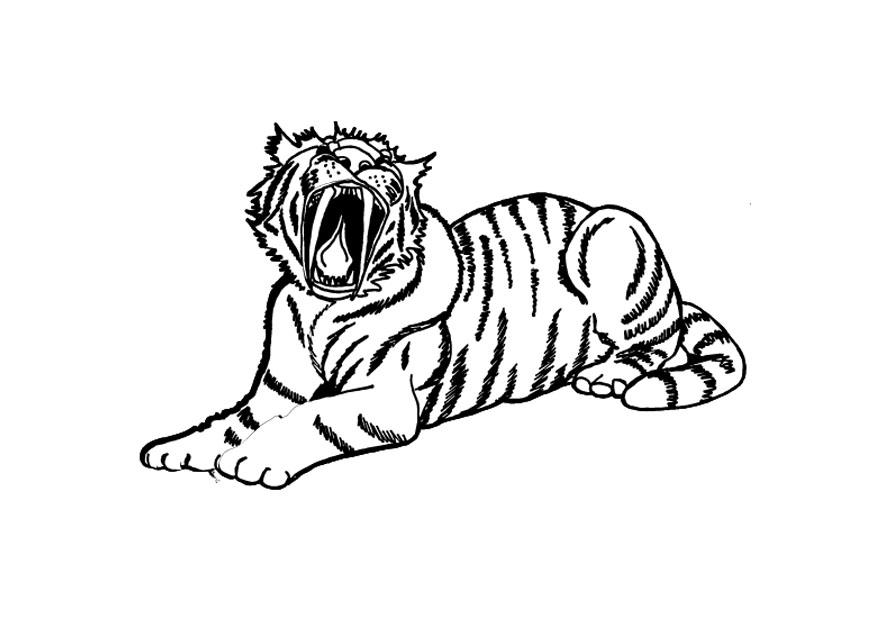 tiger Målarbild tiger
