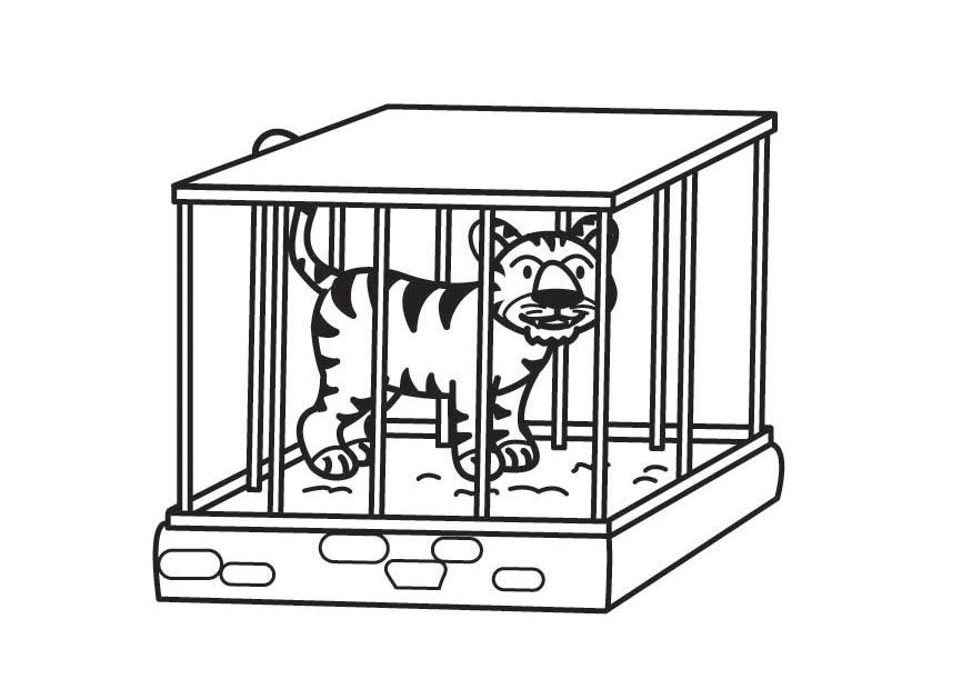 tiger i bur Målarbild tiger i bur