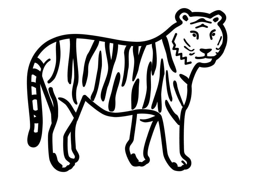 tiger som stA¥r stilla Målarbild tiger som stA¥r stilla