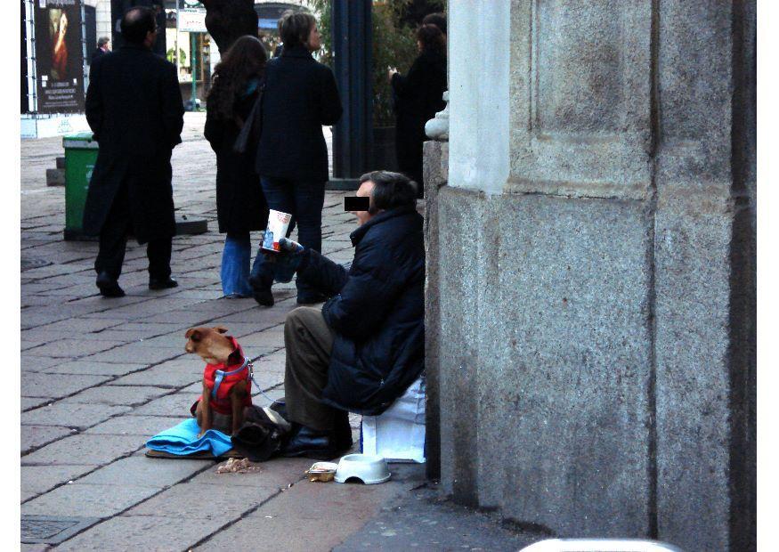 tiggare i milano Foto tiggare i milano