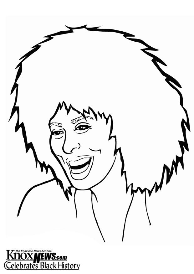 tina turner Målarbild tina turner