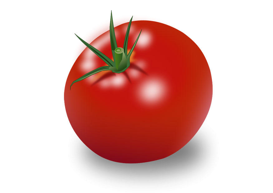 tomat bild tomat