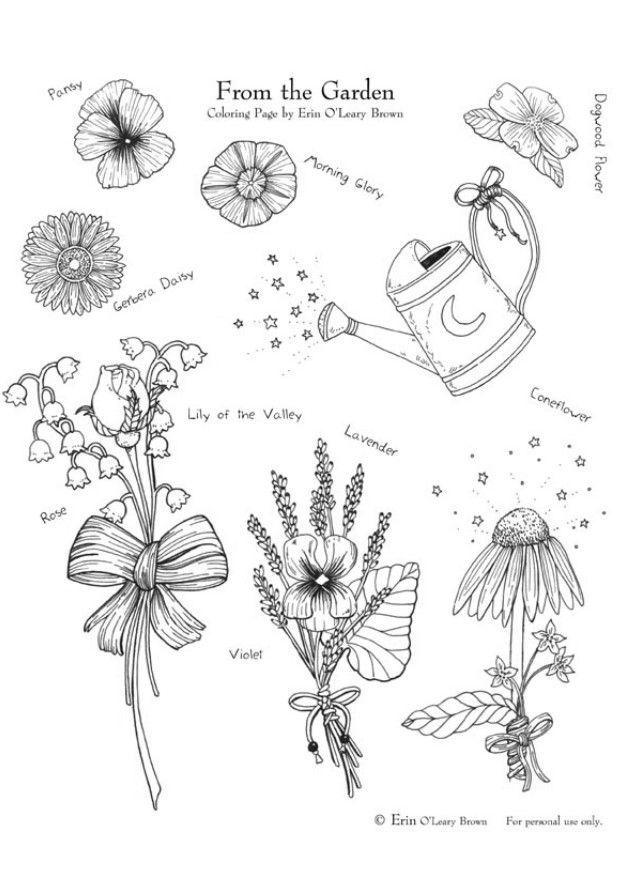 trA¤dgA¥rdsblommor Målarbild trA¤dgA¥rdsblommor