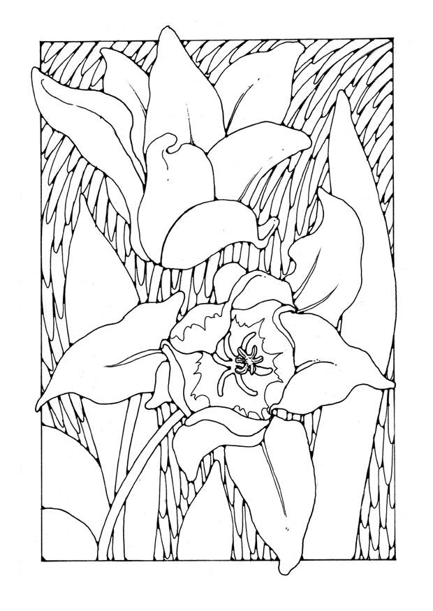 Målarbild tulipaner