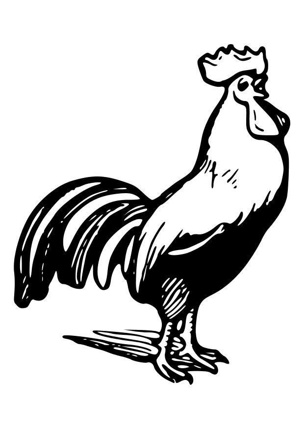 Målarbild tupp