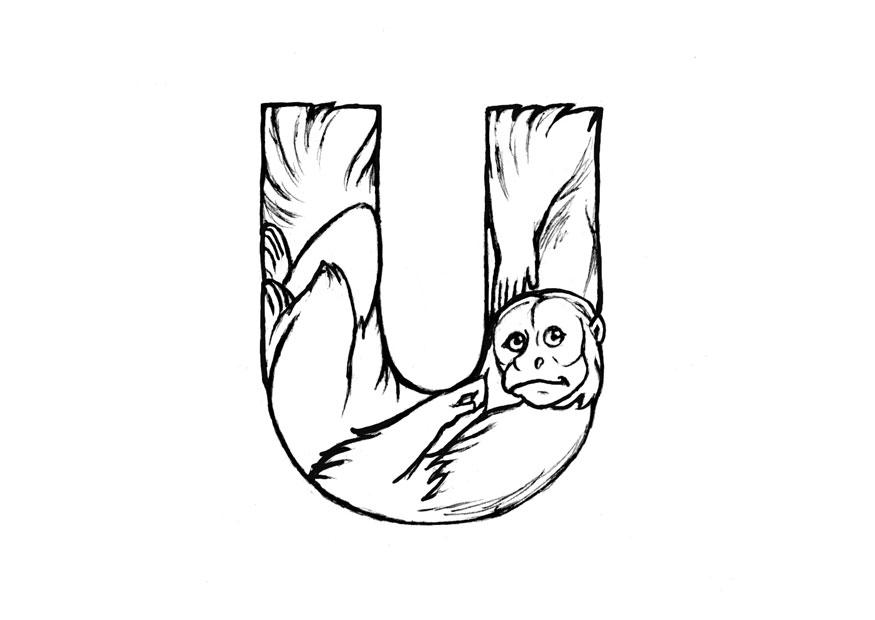u-uakari Målarbild u-uakari