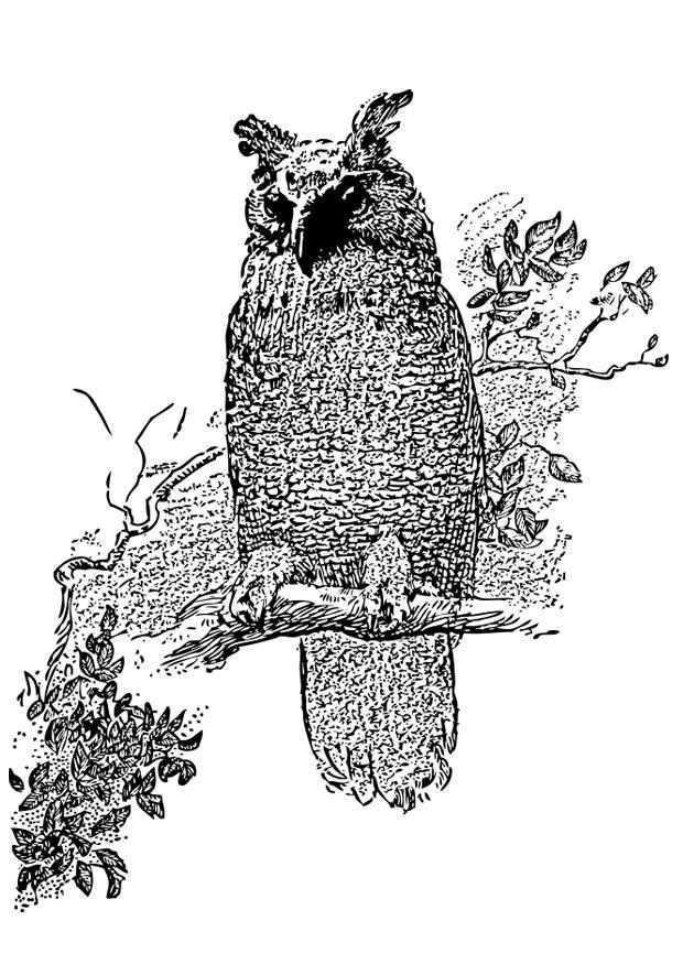 uggla Målarbild uggla