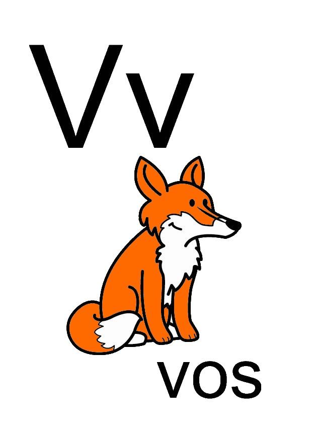 v bild v