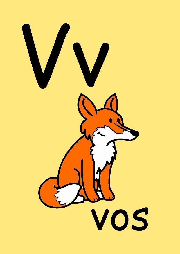 v bild v