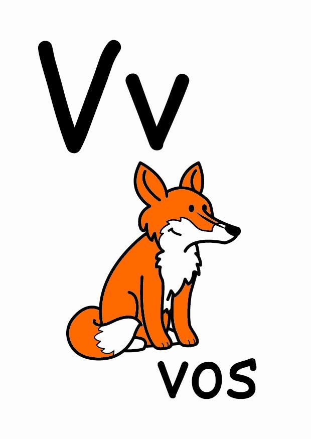v bild v