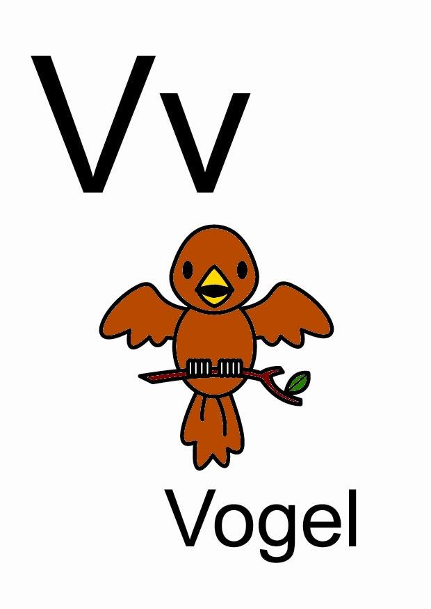 v bild v
