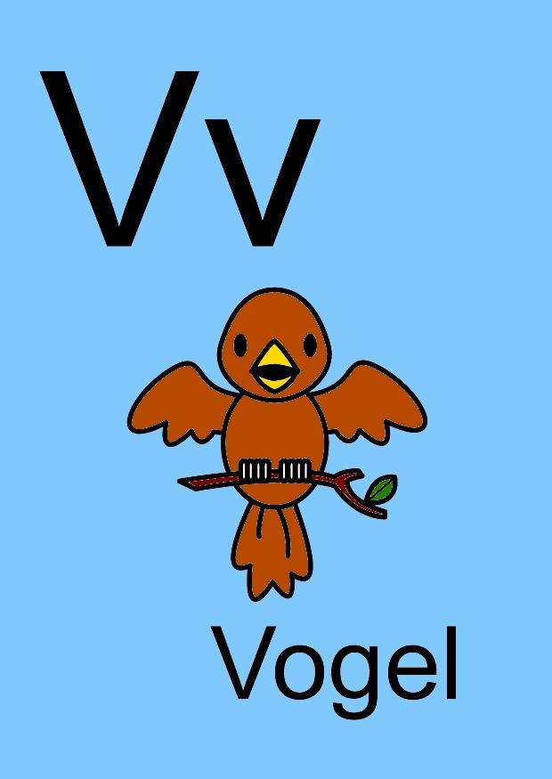 v bild v