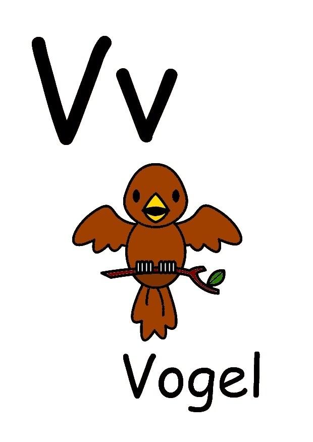 v bild v