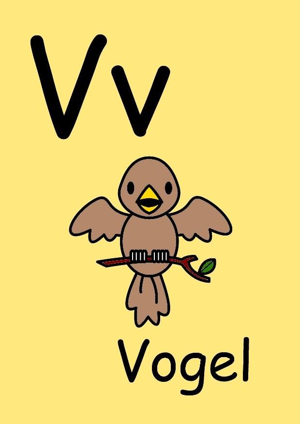 v bild v