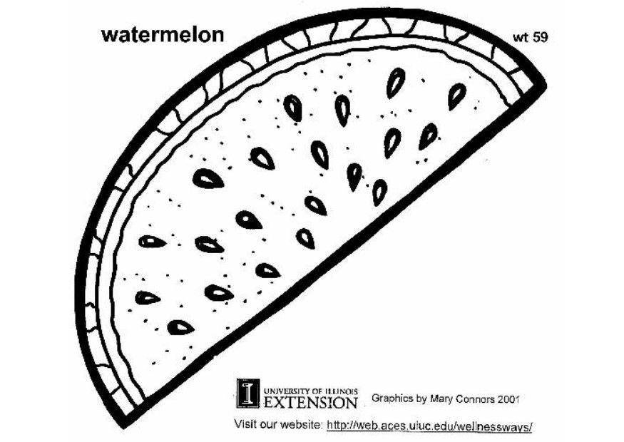 vattenmelon Målarbild vattenmelon