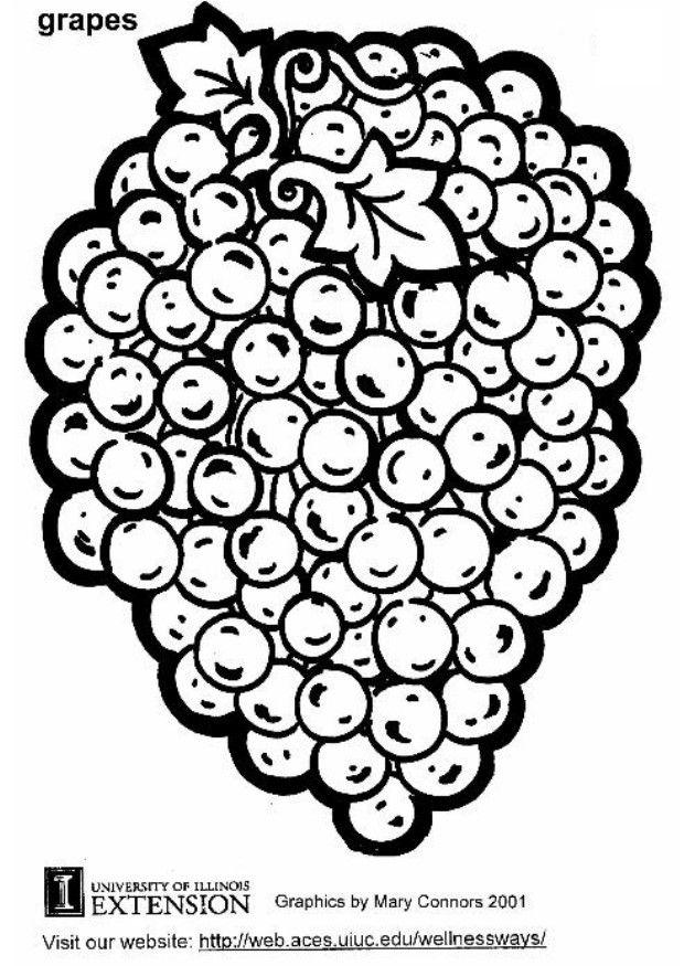 vindruvor Målarbild vindruvor