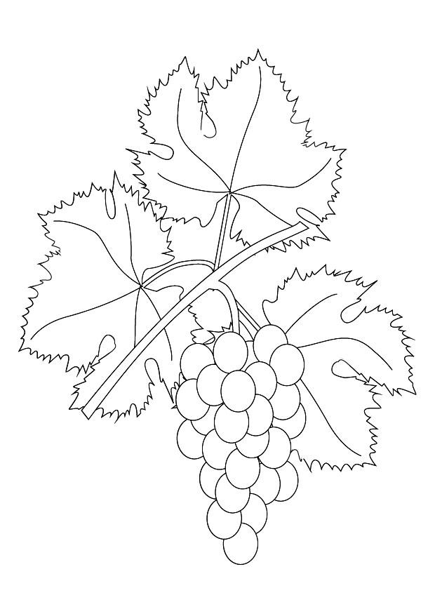 vindruvor Målarbild vindruvor