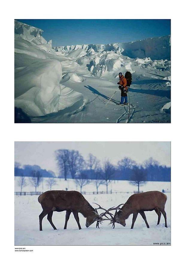 vinter 3 Foto vinter 3