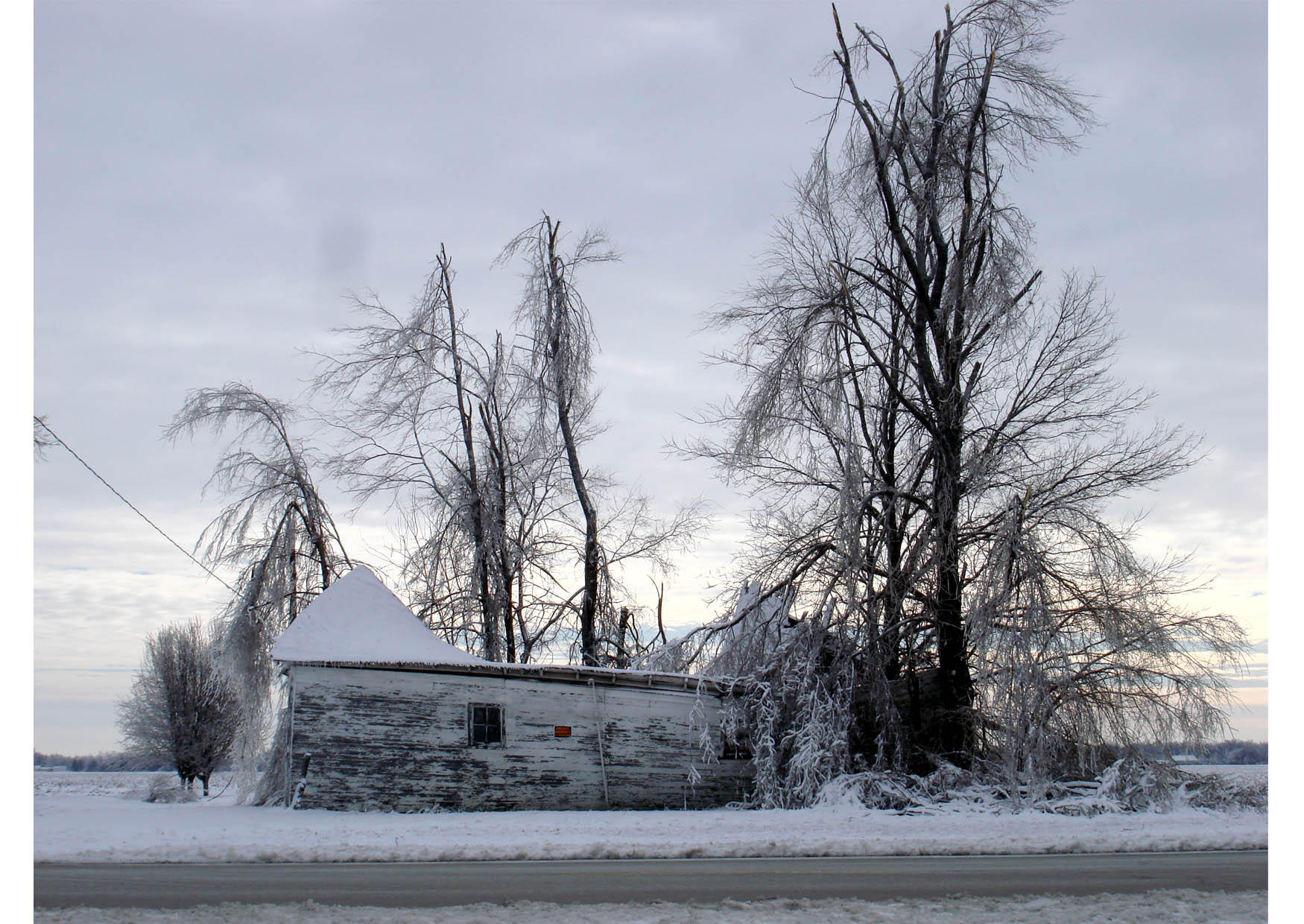 vinter Foto vinter