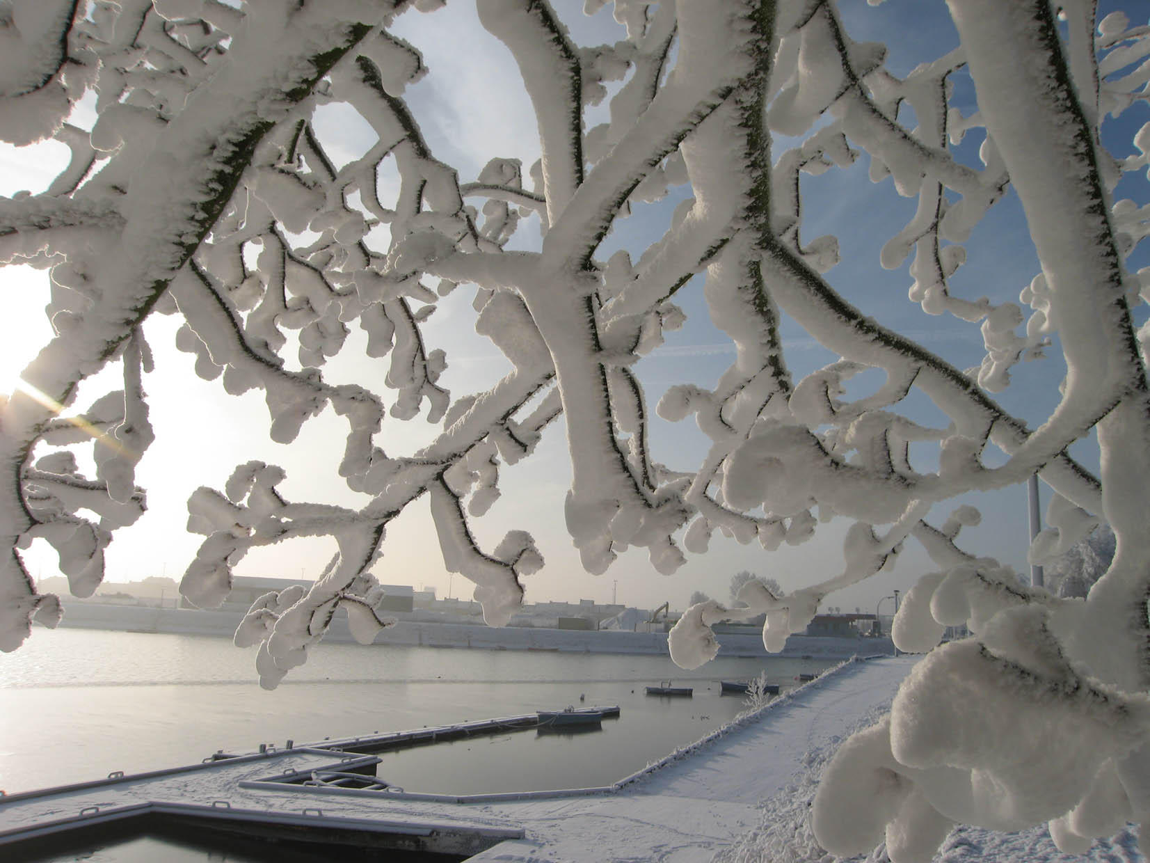 vinter Foto vinter