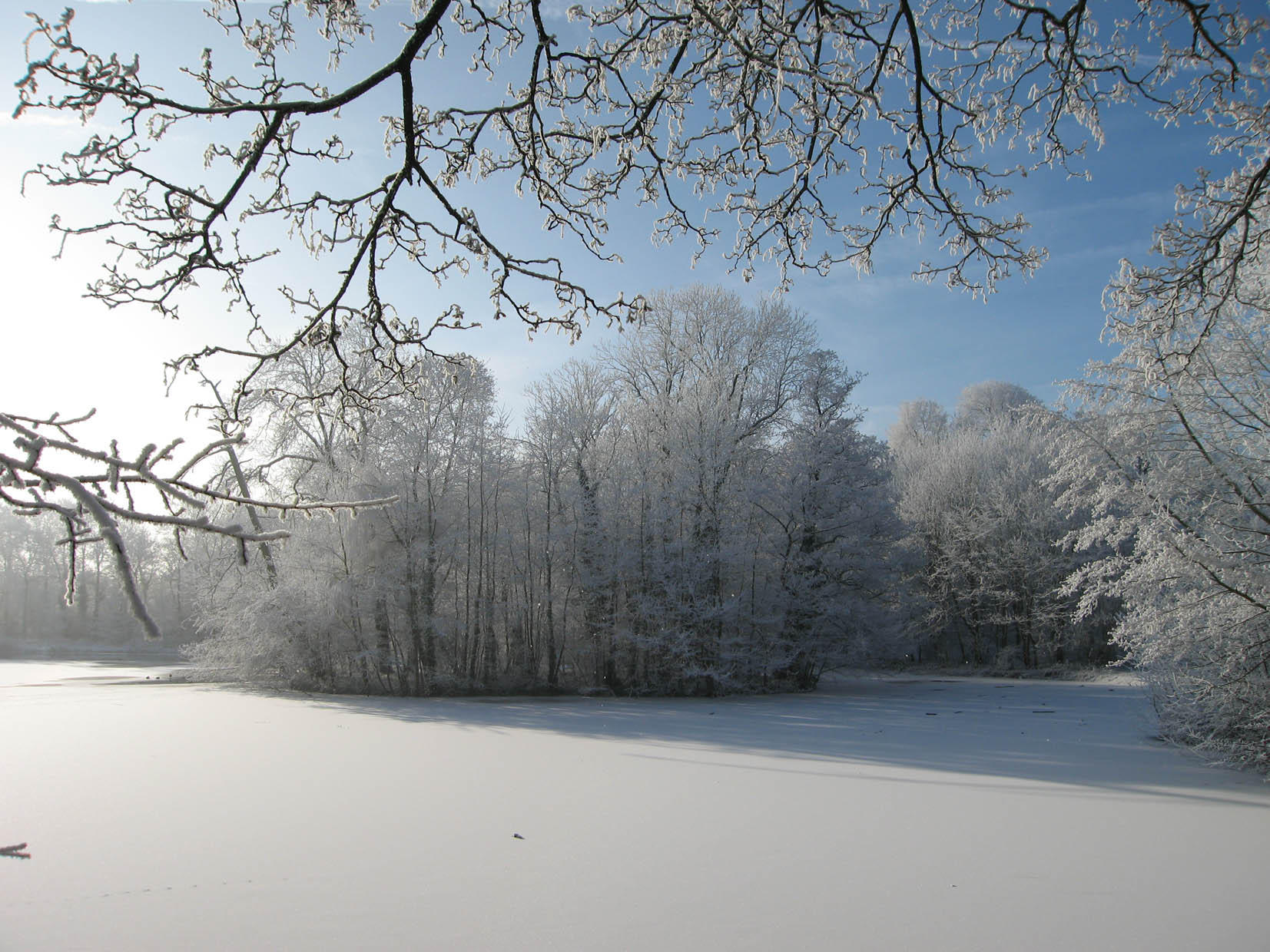 vinter Foto vinter