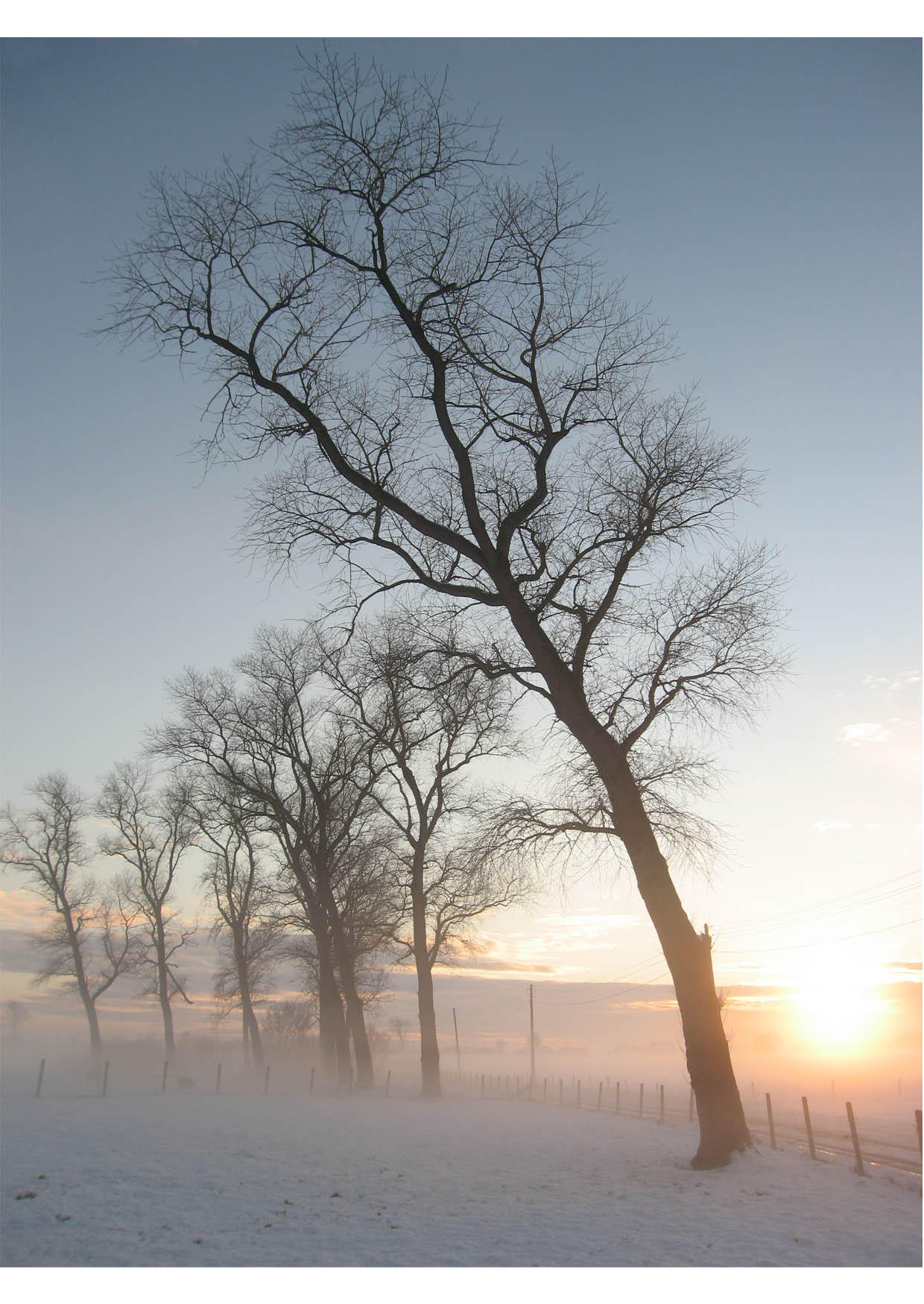vinterlandskap Foto vinterlandskap