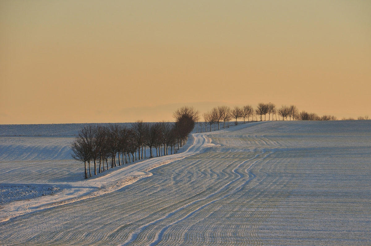 vinterscen Foto vinterscen