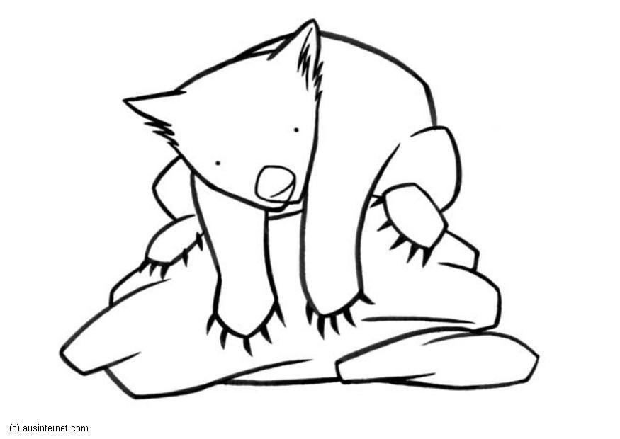vombat Målarbild vombat
