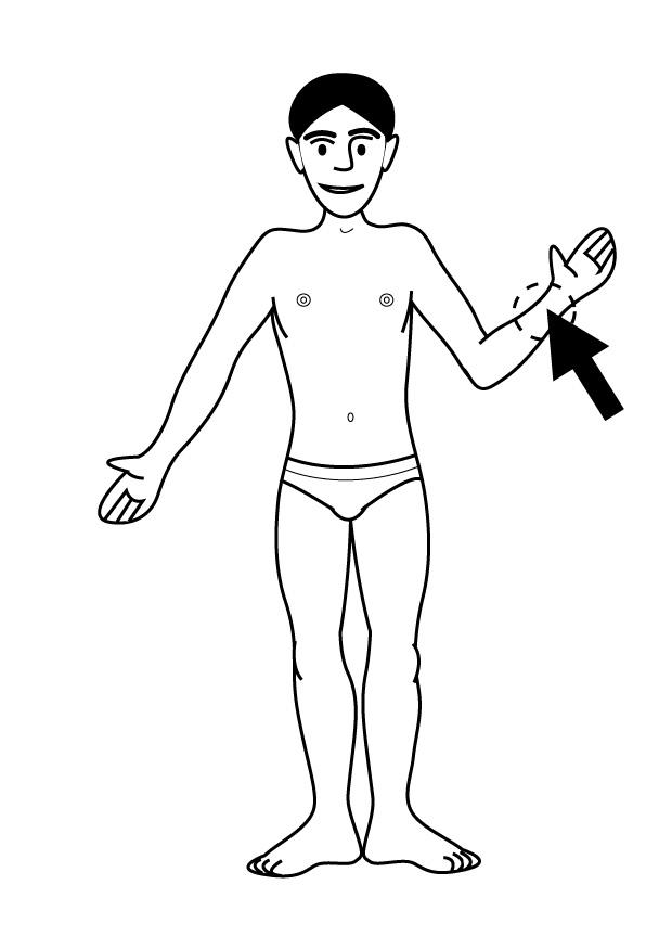 vrist Målarbild vrist