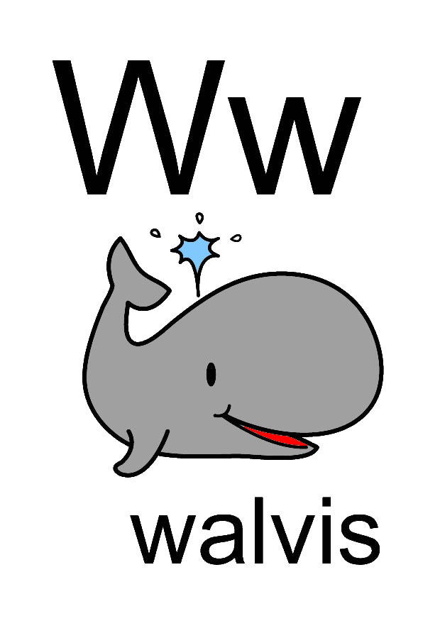 w bild w
