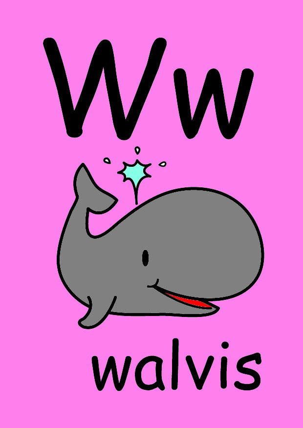 w bild w