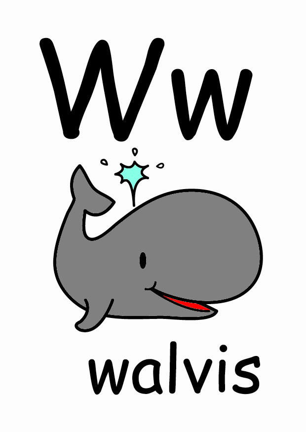 w bild w