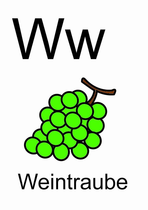 w bild w