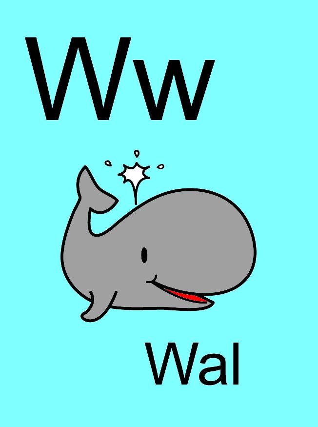 w bild w