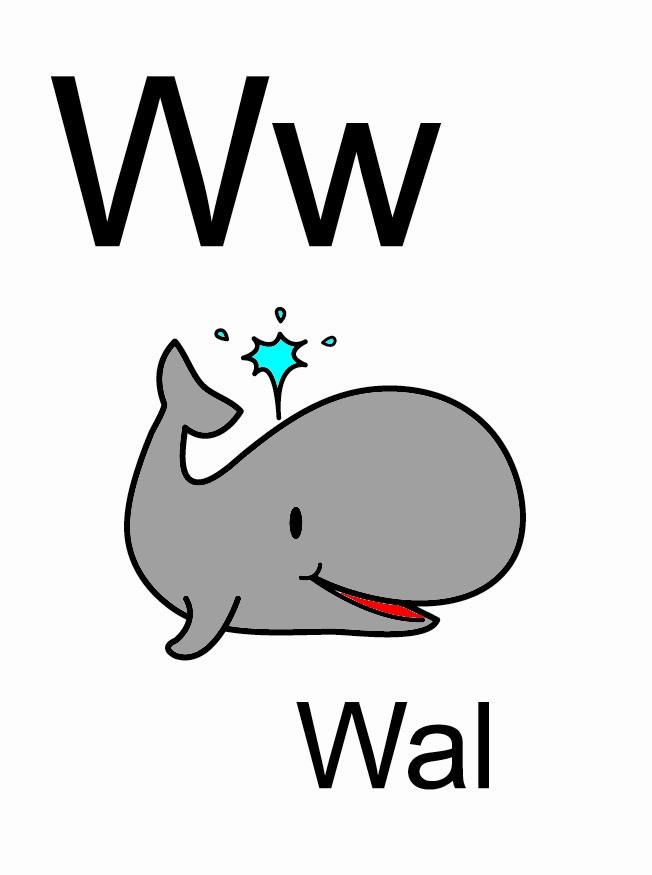 w bild w