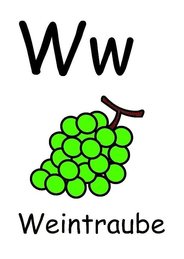w bild w