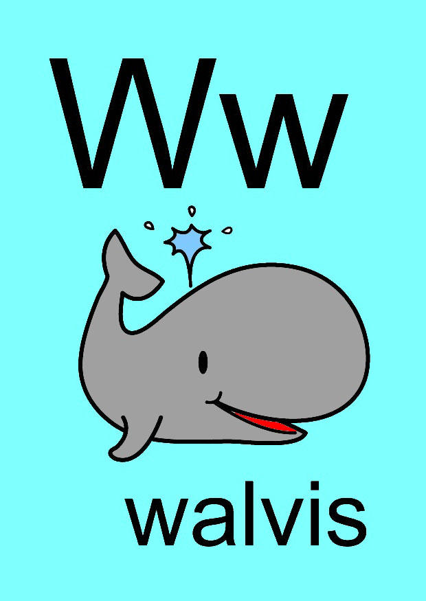 w bild w