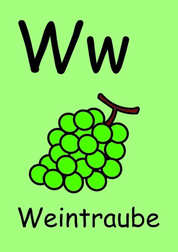 w bild w