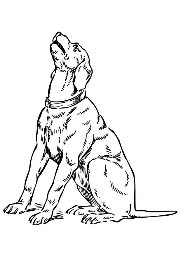 ylande hund Målarbild ylande hund