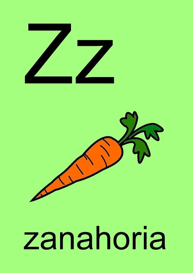 z bild z
