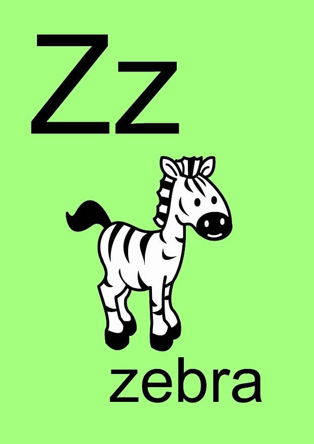 z bild z