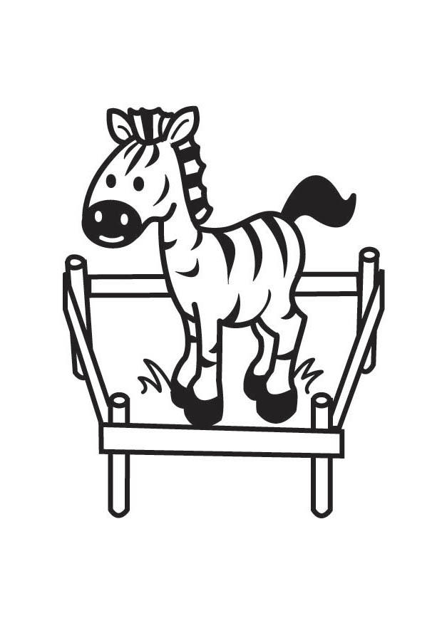 zebra Målarbild zebra